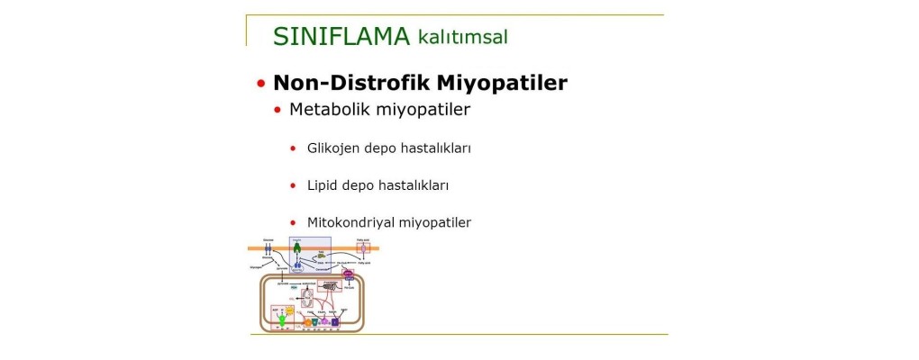 Metabolik Miyopatiler