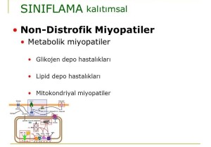 Metabolik Miyopatiler