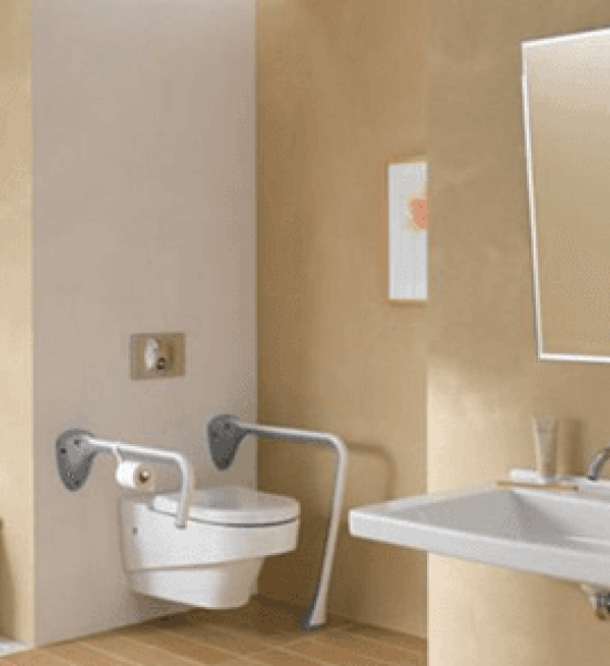 ENGELSİZ BANYO SAĞLIK GEREÇLERİNİN İŞLEVSELLİK ANALİZİ